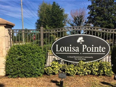 Louisa Pointe Homes For Sale in Clermont, Florida