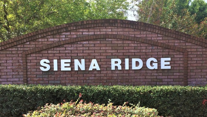 Siena Ridge Homes for Sale in Clermont, FL